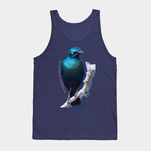 Greater blue-eared starling Tank Top by Caravele